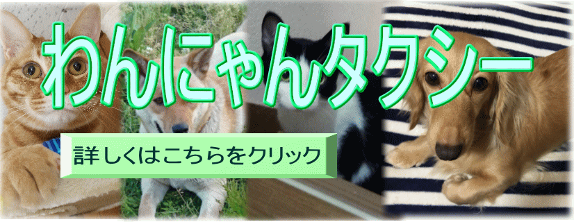 わんにゃんタクシー わんにゃんタクシー